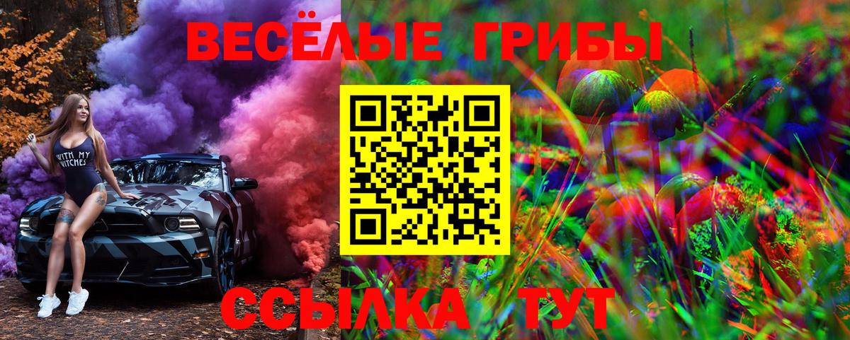 Псилоцибиновые грибы ЛСД Чернушка
