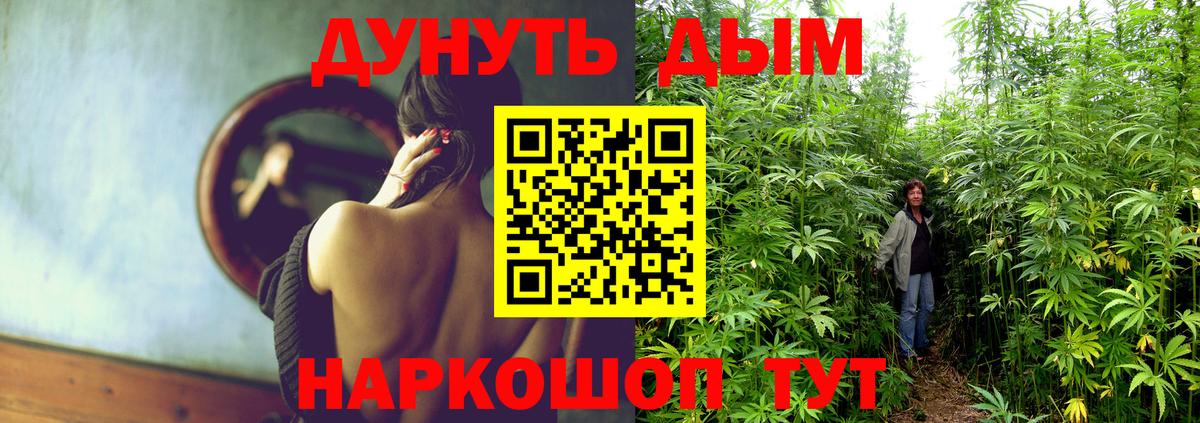 Каннабис MAZAR  Бошки Шишки LSD WEED  Бошки Шишки Ganja  Чернушка  Бошки Шишки сатива  Вход с VPN 